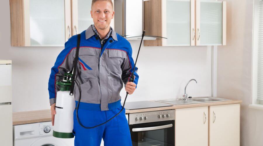 Professional spider extermination services in Ahwatukee Foothills - Spider Extermination Ahwatukee Foothills